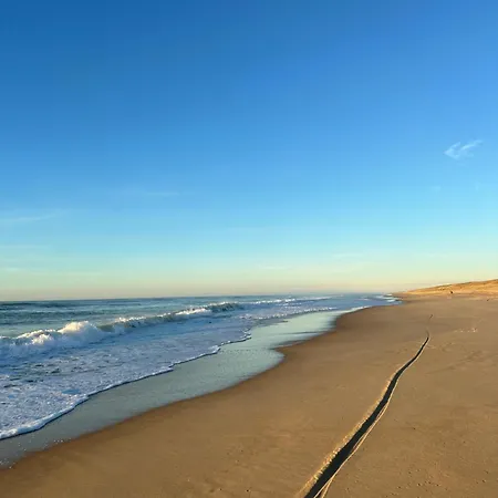 Magnifique A 5 Min Des Plages Et Commerces Lejlighed *